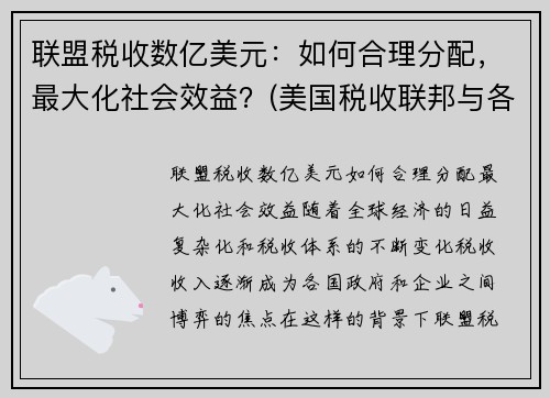 联盟税收数亿美元：如何合理分配，最大化社会效益？(美国税收联邦与各州)