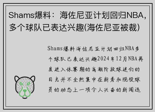 Shams爆料：海佐尼亚计划回归NBA，多个球队已表达兴趣(海佐尼亚被裁)