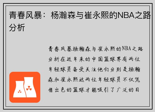 青春风暴：杨瀚森与崔永熙的NBA之路分析