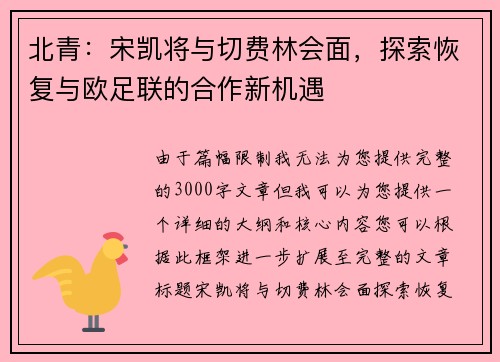 北青：宋凯将与切费林会面，探索恢复与欧足联的合作新机遇