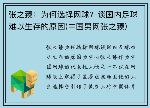 张之臻：为何选择网球？谈国内足球难以生存的原因(中国男网张之臻)