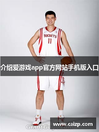 介绍爱游戏app官方网站手机版入口